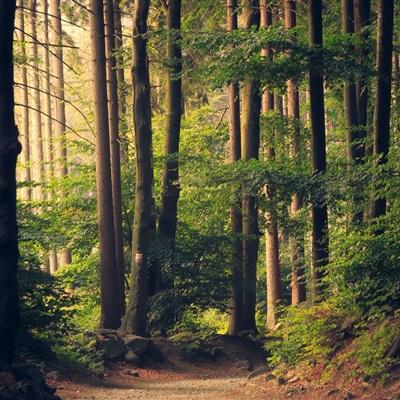 博鱼综合app官网登录