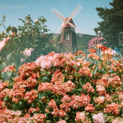 云顶集团app下载