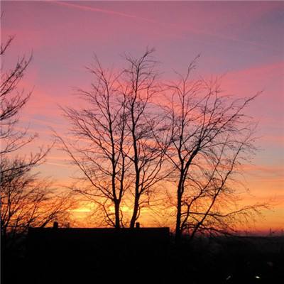 星空下载下载手机版截图